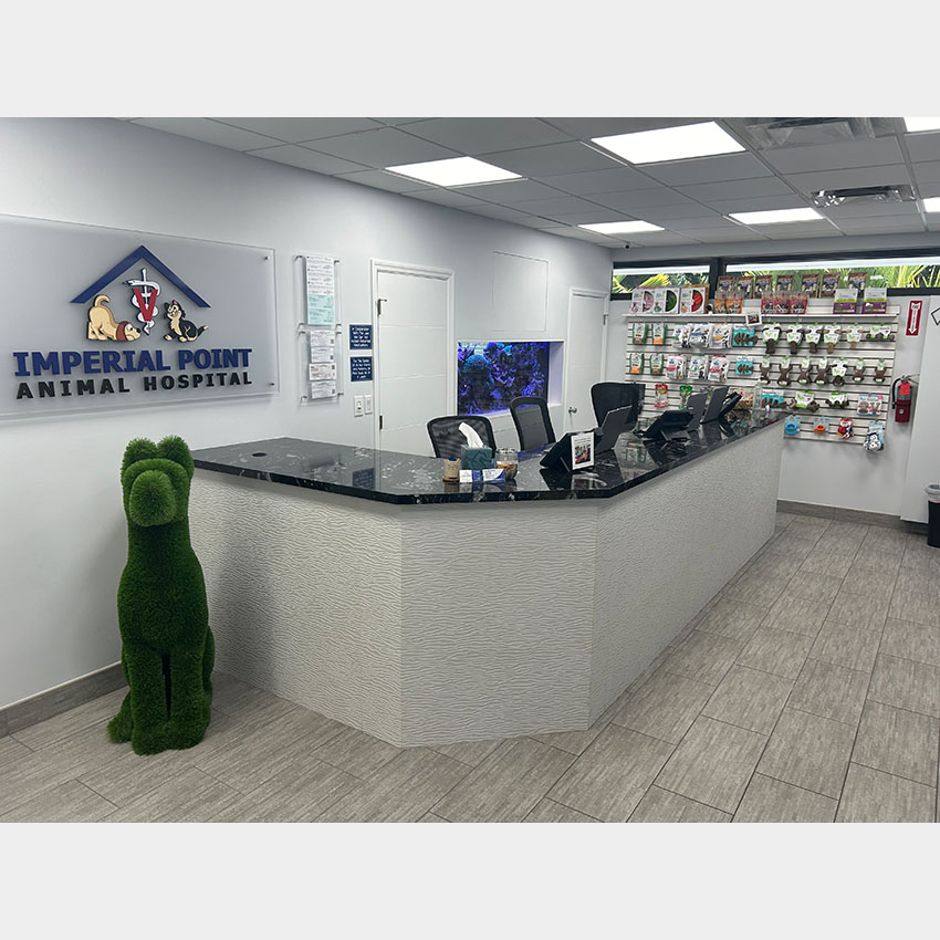 Reception Desk